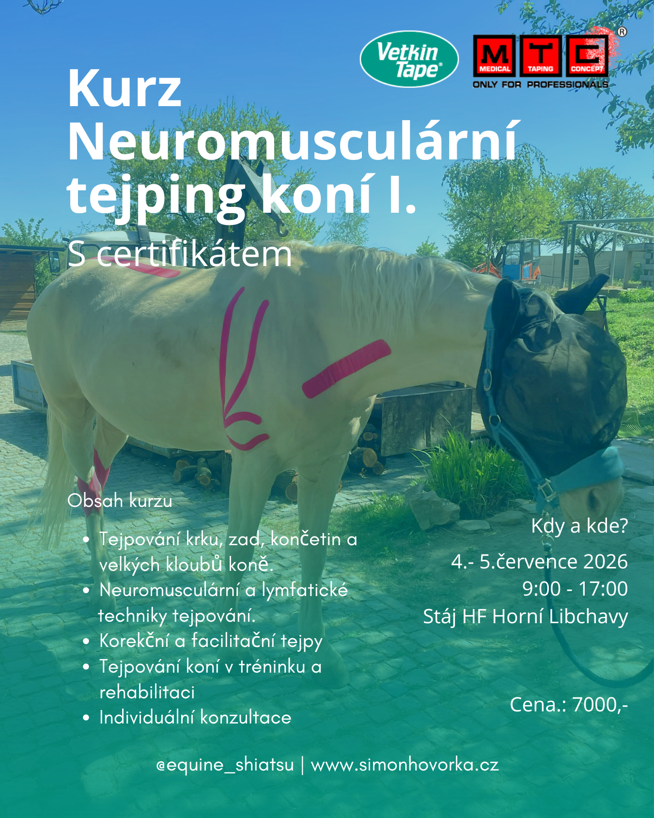 Kurz MTC grafika (1)